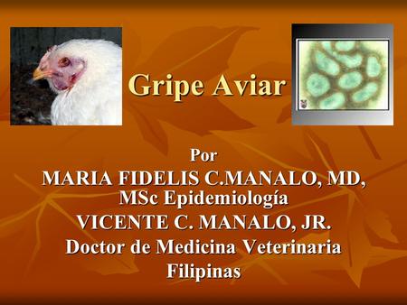 Gripe Aviar MARIA FIDELIS C.MANALO, MD, MSc Epidemiología