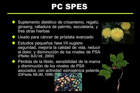 PC SPES Suplemento dietético de crisantemo, regaliz, ginseng, ralladura de palmito, escutelaria, y tres otras hierbas Usado para cáncer de próstata avanzado.