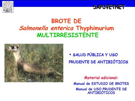 SAPUVETNET BROTE DE Salmonella enterica Thyphimurium MULTIRRESISTENTE