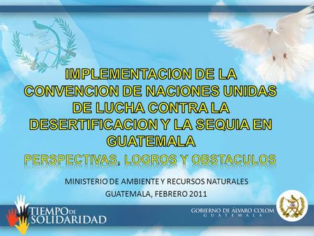 MINISTERIO DE AMBIENTE Y RECURSOS NATURALES GUATEMALA, FEBRERO 2011