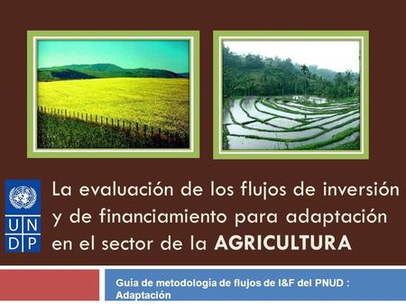La evaluación de los flujos de inversión y de financiamiento para adaptación en el sector de la AGRICULTURA Guía de metodología de flujos de I&F del PNUD.