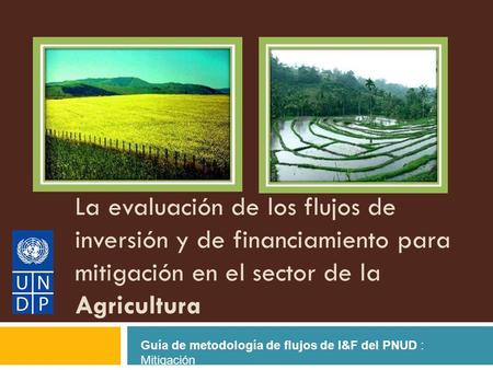 La evaluación de los flujos de inversión y de financiamiento para mitigación en el sector de la Agricultura Guía de metodología de flujos de I&F del PNUD.
