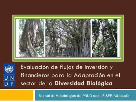 Evaluación de flujos de inversión y financieros para la Adaptación en el sector de la Diversidad Biológica Manual de Metodologías del PNUD sobre FI&FF: