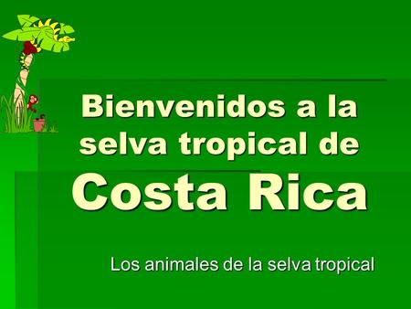 Bienvenidos a la selva tropical de Costa Rica