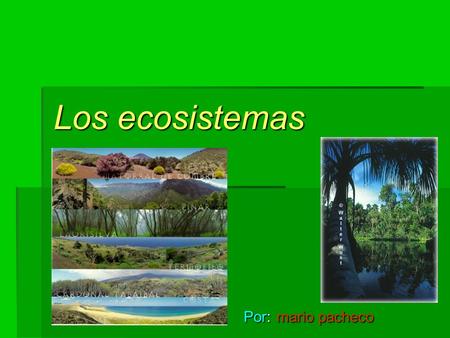 Los ecosistemas Por: mario pacheco.