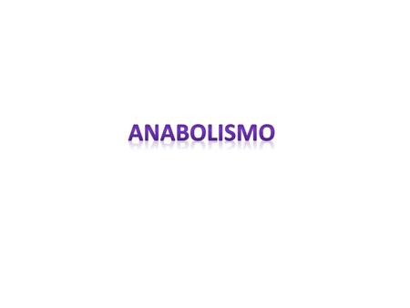 Anabolismo.