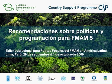 Taller subregional para Puntos Focales del FMAM en América Latina Lima, Perú, 29 de septiembre al 1 de octubre de 2009 Recomendaciones sobre políticas.