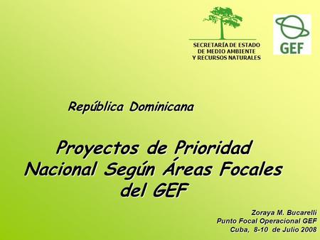 Proyectos de Prioridad Nacional Según Áreas Focales del GEF