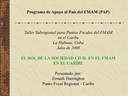 Programa de Apoyo al País del FMAM (PAP) Taller Subregional para Puntos Focales del FMAM en el Caribe La Habana, Cuba Julio de 2008 EL ROL DE LA SOCIEDAD.