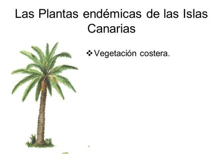 Las Plantas endémicas de las Islas Canarias