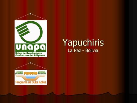 Yapuchiris La Paz - Bolivia. Formación de los yapuchiris Escuelas de campo Surgimiento de líderes Organización de CIALs 2000-2002.