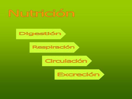 Nutrición Digestión Respiración Circulación Excreción.
