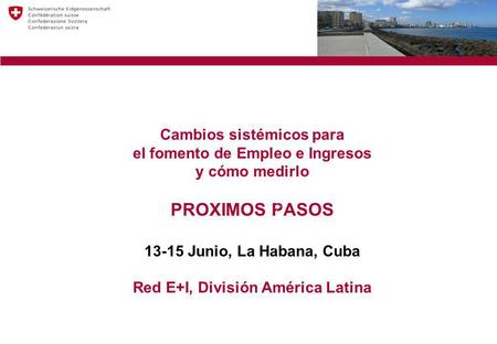 Cambios sistémicos para el fomento de Empleo e Ingresos y cómo medirlo PROXIMOS PASOS 13-15 Junio, La Habana, Cuba Red E+I, División América Latina.
