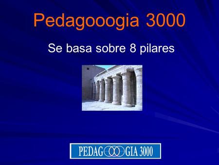 Pedagooogia 3000 Se basa sobre 8 pilares.