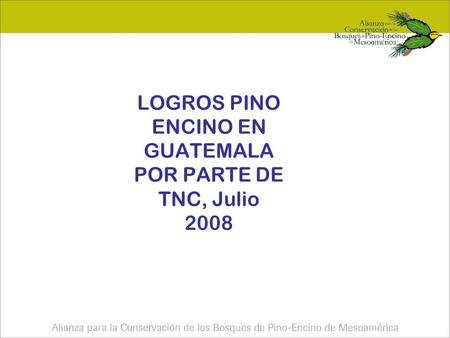 LOGROS PINO ENCINO EN GUATEMALA POR PARTE DE TNC, Julio 2008.