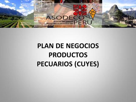 PLAN DE NEGOCIOS PRODUCTOS PECUARIOS (CUYES)