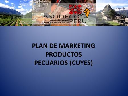 PLAN DE MARKETING PRODUCTOS PECUARIOS (CUYES)