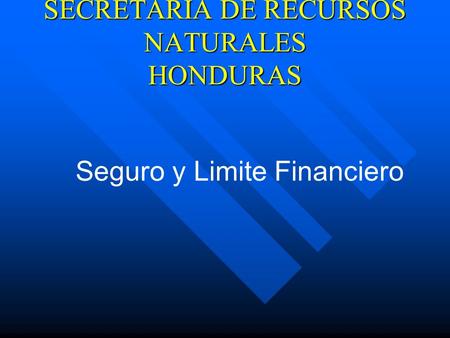 Seguro y Limite Financiero SECRETARIA DE RECURSOS NATURALES HONDURAS.