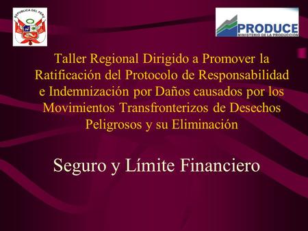 Taller Regional Dirigido a Promover la Ratificación del Protocolo de Responsabilidad e Indemnización por Daños causados por los Movimientos Transfronterizos.