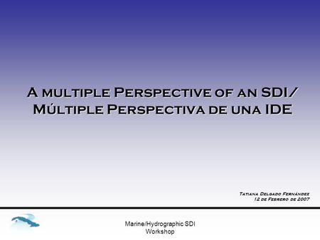 Marine/Hydrographic SDI Workshop A multiple Perspective of an SDI/ Múltiple Perspectiva de una IDE Tatiana Delgado Fernández 12 de Febrero de 2007.