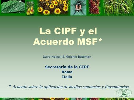 La CIPF y el Acuerdo MSF*
