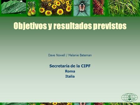 Objetivos y resultados previstos Dave Nowell / Melanie Bateman Secretaría de la CIPF Roma Italia.