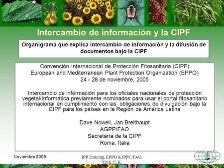 IPP Training, EPPO & IPPC/FAO, York, U.K.