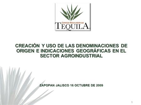 CREACIÓN Y USO DE LAS DENOMINACIONES DE ORIGEN E INDICACIONES GEOGRÁFICAS EN EL SECTOR AGROINDUSTRIAL ZAPOPAN JALISCO 16 OCTUBRE DE 2009 1.