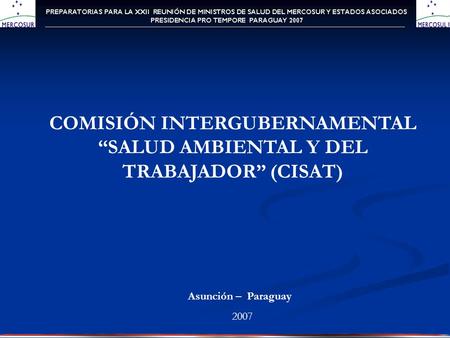 COMISIÓN INTERGUBERNAMENTAL SALUD AMBIENTAL Y DEL TRABAJADOR (CISAT) Asunción – Paraguay 2007.