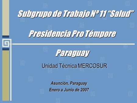 Subgrupo de Trabajo Nº 11 Salud Presidencia Pro Témpore Paraguay Unidad Técnica MERCOSUR Asunción, Paraguay Enero a Junio de 2007.