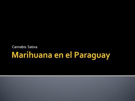 Cannabis Sativa. Destinado a policías que se desempeñen en áreas de investigación operativa Cannabis Sativa Marihuana en el Paraguay.