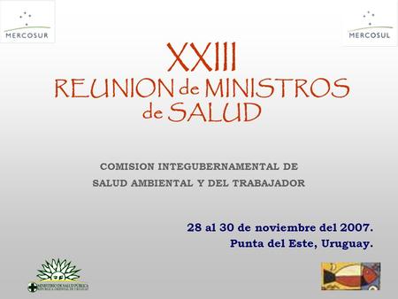 XXIII REUNION de MINISTROS de SALUD 28 al 30 de noviembre del 2007. Punta del Este, Uruguay. COMISION INTEGUBERNAMENTAL DE SALUD AMBIENTAL Y DEL TRABAJADOR.