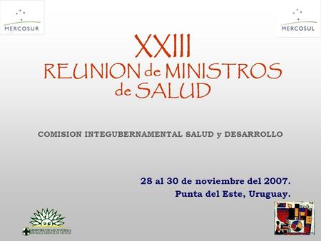 XXIII REUNION de MINISTROS de SALUD 28 al 30 de noviembre del 2007. Punta del Este, Uruguay. COMISION INTEGUBERNAMENTAL SALUD y DESARROLLO.
