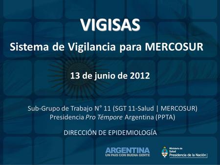 VIGISAS Sistema de Vigilancia para MERCOSUR 13 de junio de 2012