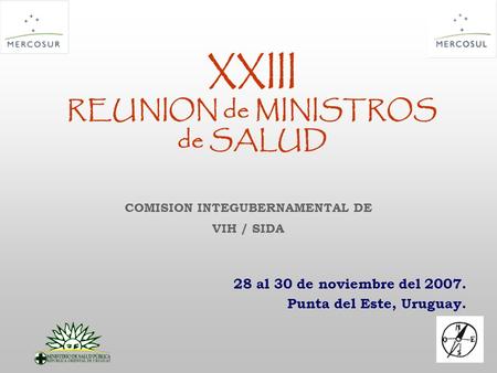 XXIII REUNION de MINISTROS de SALUD 28 al 30 de noviembre del 2007. Punta del Este, Uruguay. COMISION INTEGUBERNAMENTAL DE VIH / SIDA.