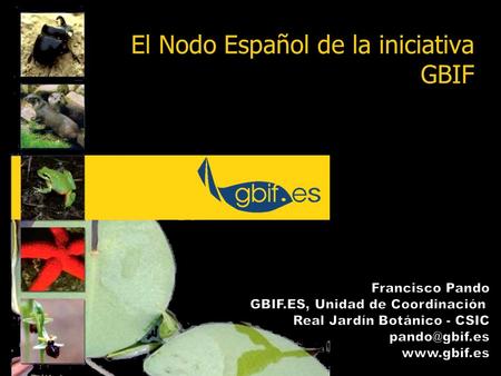 El Nodo Español de la iniciativa GBIF. 2 Que es GBIF Implementación de GBIF en España Las colecciones como prioridad de GBIF Retos que plantea la explotación.