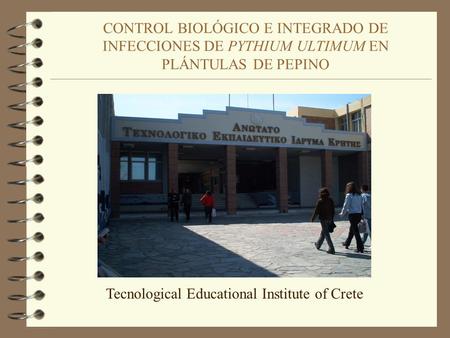 Tecnological Educational Institute of Crete