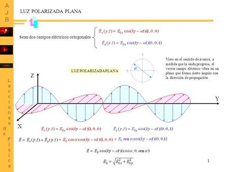 Z Y X LUZ POLARIZADA PLANA Sean dos campos eléctricos ortogonales