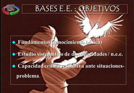 BASES E.E. : OBJETIVOS Fundamentos (conocimiento básico) Fundamentos (conocimiento básico) Estudio sistemático de discapacidades / n.e.e. Estudio sistemático.