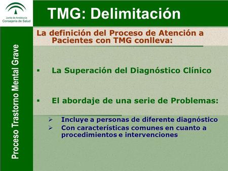 TMG: Delimitación GESTION POR PROCESOS Definición