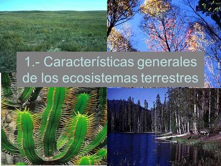 1.- Características generales de los ecosistemas terrestres