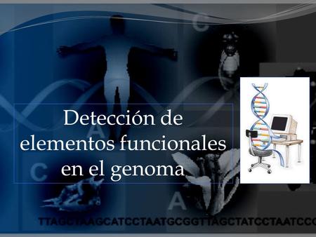 Detección de elementos funcionales en el genoma