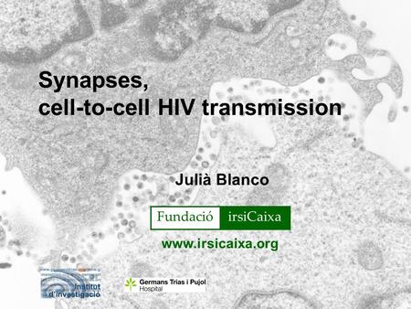 Synapses, cell-to-cell HIV transmission Julià Blanco www.irsicaixa.org FundacióirsiCaixaFundacióirsiCaixaFundacióirsiCaixa.
