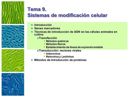 Tema 9. Sistemas de modificación celular