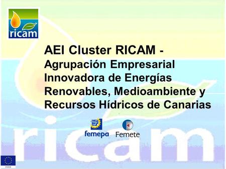 AEI Cluster RICAM - Agrupación Empresarial Innovadora de Energías Renovables, Medioambiente y Recursos Hídricos de Canarias.