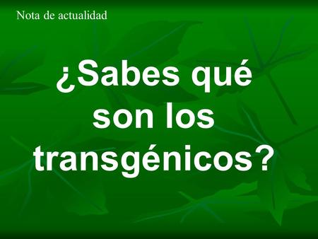 ¿Sabes qué son los transgénicos?