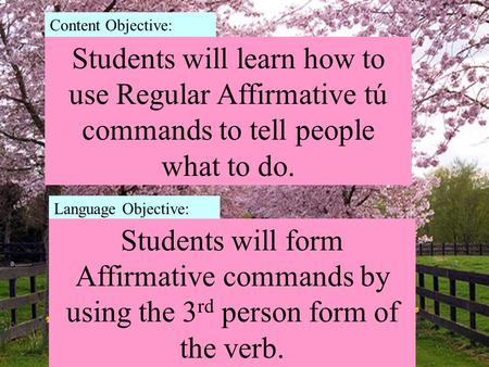 Students will learn how to use Regular Affirmative tú commands to tell people what to do. Content Objective: Language Objective: Students will form Affirmative.
