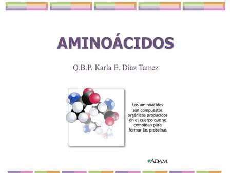 AMINOÁCIDOS Q.B.P. Karla E. Díaz Tamez.