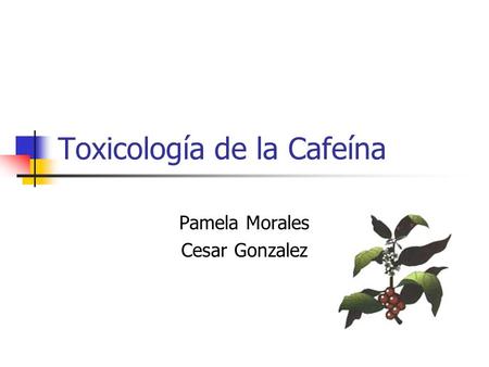 Toxicología de la Cafeína
