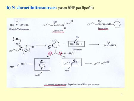 b) N-cloroetilnitrosoureas: pasan BHE por lipofilia